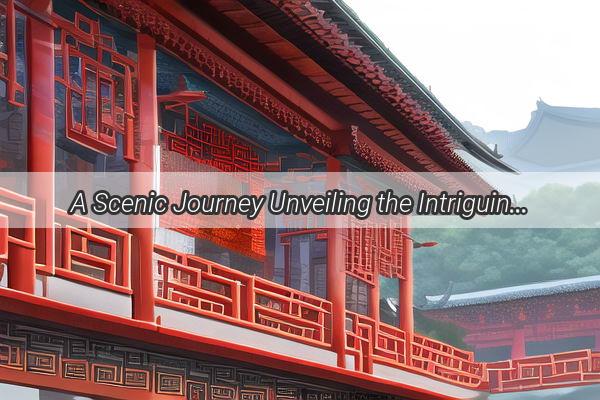 A Scenic Journey Unveiling the Intriguing Cultural Contrasts Between France and China